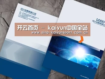 项目名称十