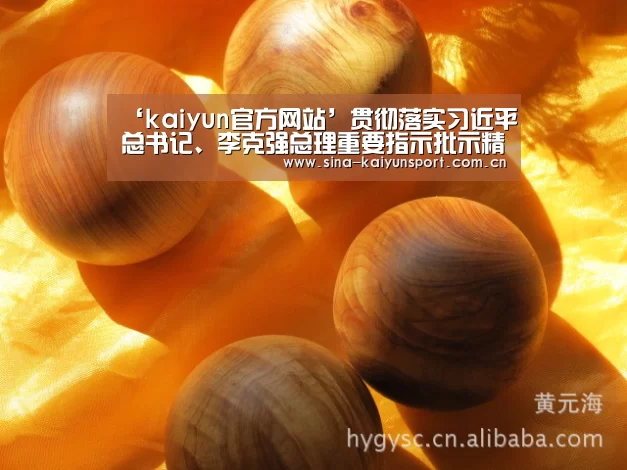 ‘kaiyun官方网站’贯彻落实习近平总书记、李克强总理重要指示批示精神  国资委召开中央企业安全生产电视电话会议作出部署(图1)